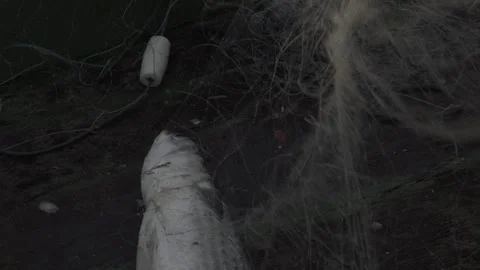 Slow Motion Close-up of Fisherman Pulling Net and Finding a Fish at Dawn/Dusk Stock Footage 320635082