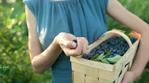 Slow motion close-up footage of woman's hands holding a basket with blueberries Vídeos de archivo 220420100