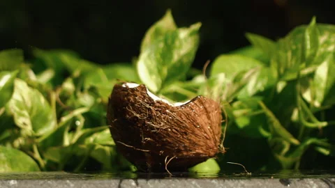 Slow motion close-up fresh coconut drops broken on table with splashes of milk Stock Footage 169419073