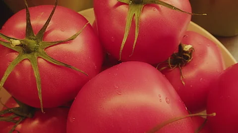 Slow motion close up of fresh whole tomatoes. Macro. Solanum lycopersicum Stock Footage 272797257