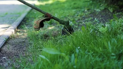 Slow motion close up of a garden trimmer cutting grass Stock Footage 75984427