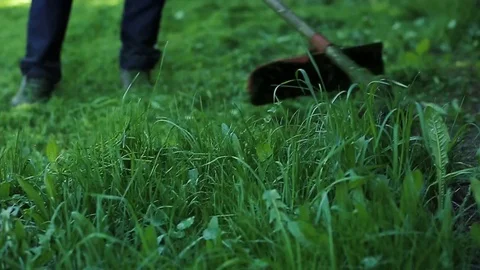 Slow motion close up of a garden trimmer cutting grass Video stock 75984547