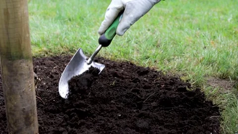 Slow motion, close up, gardener is putting fresh soil with a hand shovel 스톡 동영상 130655537