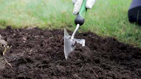 Slow motion, close up, gardener is putting fresh soil with a hand shovel Stock Footage 130655694