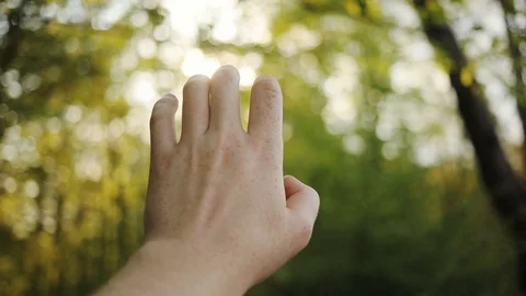 Slow motion close up hands man hold on background of green treeand blue sky play Stock Footage 94235730