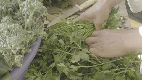 Slow Motion Close-up of Hands Preparing a Bunch of Fresh Parsley for Sale Stock Footage 320634757