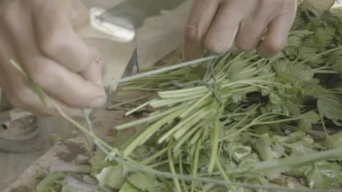 Slow Motion Close-up of Hands Preparing a Bunch of Fresh Parsley for Sale Stock Footage 320634772