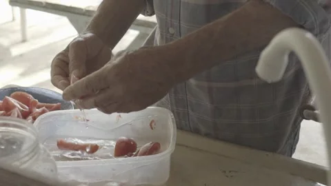 Slow Motion Close-up of Hands Removing Seeds from Freshly Harvested Tomato Stock Footage 320634649