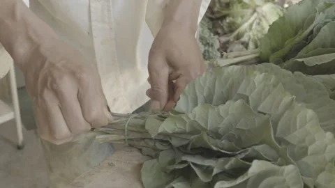 Slow Motion Close-up of Hands Trimming and Tying a Bunch of Fresh Kale/Cabbage Stock Footage 320634693