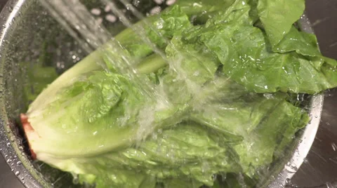 Slow motion close up of lettuce being washed by water in a colander. 動画素材 34429584