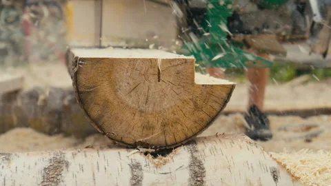 Slow Motion Close Up of Log Cross Section With Sawdust Flying During Outdoor Stock Footage 338405148