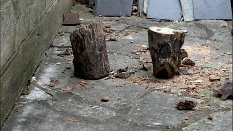 Slow motion close up on logs being split in half Stock Footage 148287335