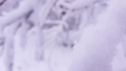 Slow motion close up of a lot of snow in park on blurred white background Stock Footage 150101193