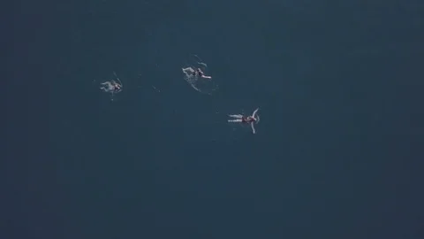 Slow Motion CLose Up Macro Waterfall Switzerland Stock Footage 127055168