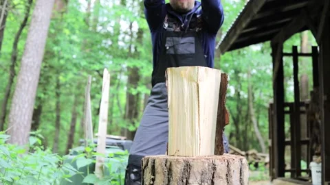 Slow motion close up man chopping wood in the forest Stock Footage 130654841