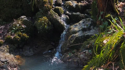 Slow Motion Close-up: Mountain Stream Water Flowing Over Mossy Rocks Stock Footage 270458777
