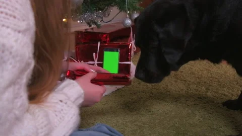 Slow Motion Close Up - Opening Gifts on Video Call With Dog Stock Footage 144736723