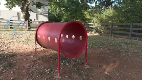 Slow motion close pass of red dog agility tunnel and blue jump hoops Stock Footage 346671525