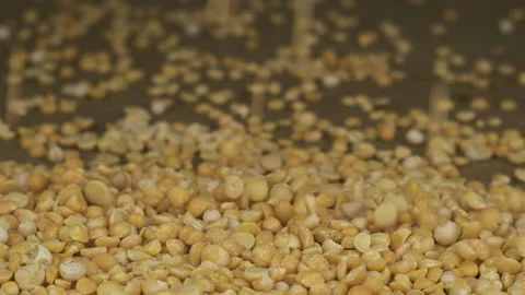 Slow motion. Close-up. Peas grains begin to falling, forming a pile of seeds Video stock 164193639