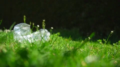 Slow motion close up of a plastic bottle falling on a green grass lawn Stock Footage 236878693