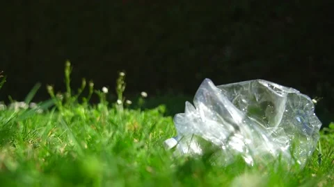 Slow motion close up of a plastic bottle falling on a green grass lawn 스톡 동영상 236878865