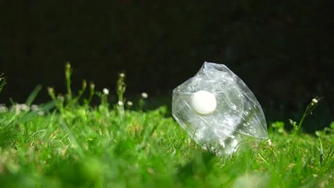 Slow motion close up of a plastic bottle falling on a green grass lawn Stock Footage 236901107