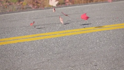 SLOW MOTION CLOSE UP: Red autumn maple leaves swirling behind a car driving over Stock Footage 80098071