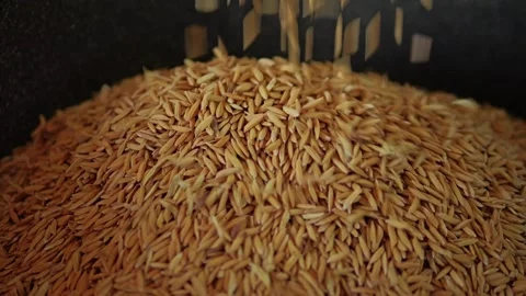 Slow Motion Close up the rice grains are falling Stock Footage 326331990