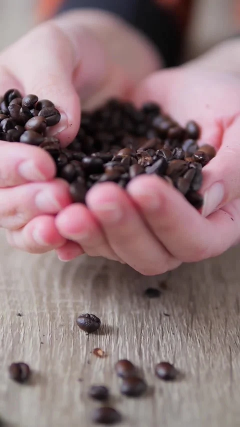 Slow Motion Close-Up of Roasted Coffee Beans Falling from Cupped Hands Stock Footage 326665981