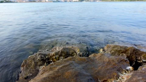 Slow Motion Close Up of Rocky Shore and Calm Water at Lake Hamana Stock Footage 340413982