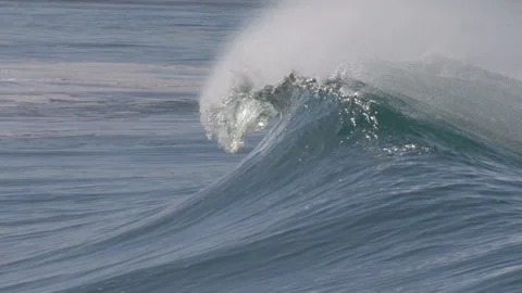 SLOW MOTION, CLOSE UP: Seagull flying and a cresting wave with an offshore spray Stock Footage 314505543