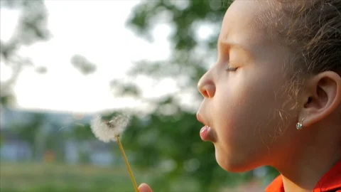 Slow Motion Close-Up Shot of Cute Little Girl Carefree Blowing a Dandelion Stock Footage 108189308