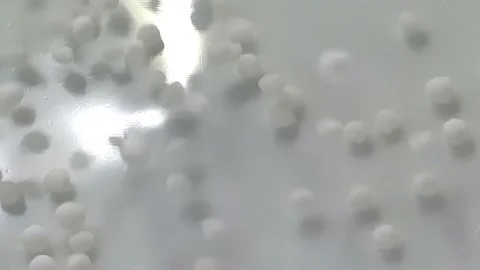 Slow motion close-up shot of pouring sago grain into a white ceramic bowl. Video stock 159442435