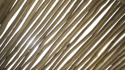 Slow motion close up shot of a reed roof with sun shinning through Stock Footage 257948733