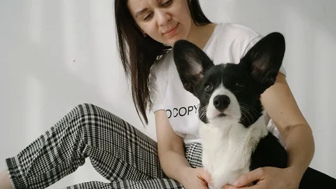SLOW MOTION: Close shot of young caucasian woman which sits and pets corgi Stock Footage 106076809
