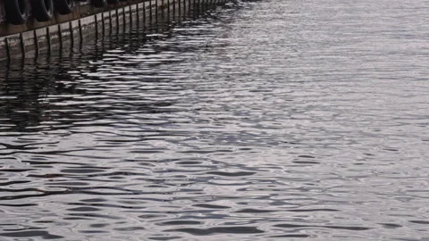 Slow Motion Close-Up of Silver Sea Surface with Gentle Movement and No People Stock Footage 309461386