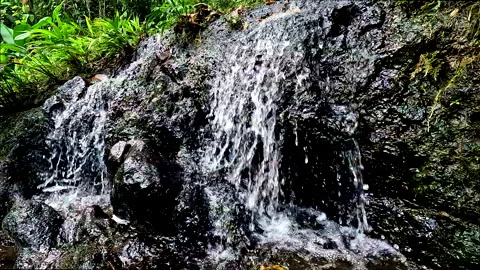 Slow motion close up of a small freshwater cascade Vídeos de archivo 336931981
