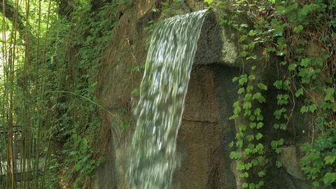 Slow motion close-up of a small waterfall in a deep forest on sunny day Stock Footage 90995852