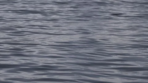 Slow Motion Close-up of Small Waves Moving Across the Ocean Surface, Paraty Stock Footage 320634999