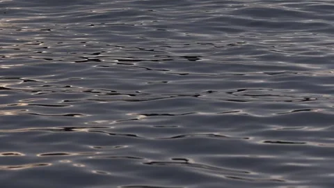 Slow Motion Close-up of Small Waves Moving Across the Ocean Surface, Paraty Stock Footage 320635020