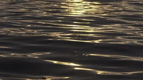 Slow Motion Close-up of Small Waves Moving Across the Ocean Surface, Paraty Stock Footage 320635049