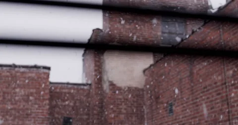 Slow motion close up of snowflakes on a cloudy day. Stock Footage 149495103