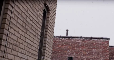 Slow motion close up of snowflakes on a cloudy day. Brick wall 스톡 동영상 149496305