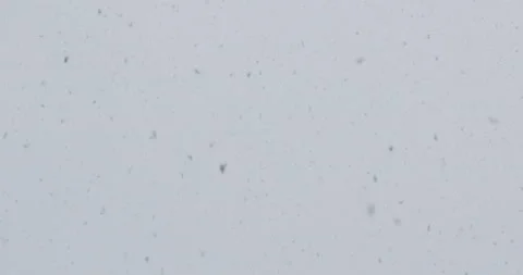 Slow motion close up of snowflakes on a cloudy day. Stock Footage 149499649