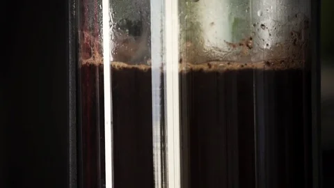 Slow motion close up of spoon mixing coffee in French Press Stock Footage 82459897