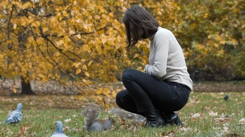 Slow-motion close up squirrel eating nuts from young woman's hand during autumn Video stock 101115247