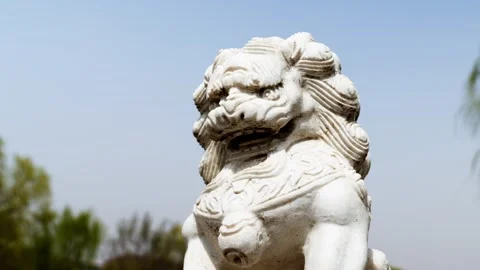 Slow motion close-up of stone lion statue Stock Footage 242083706