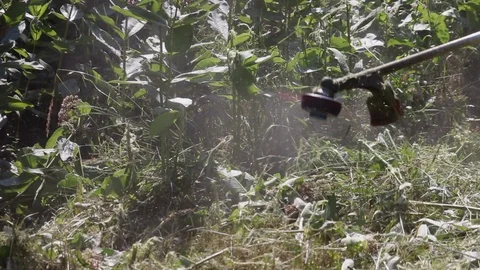 Slow Motion Close Up Of String Trimmer Swinging In Wide Arc, Cutting Weeds. Stock Footage 113527354