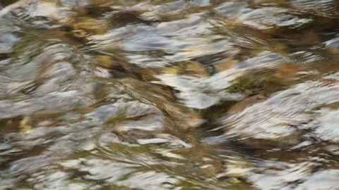 Slow motion close-up of the surface of a mountain river with clear cold wat.. Stock Footage 315479502