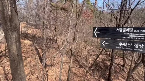 Slow Motion Close Up Trail Signpost Suraksan Korea Vertical Video stock 331894174